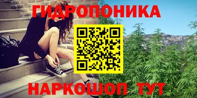 ешки Краснознаменск