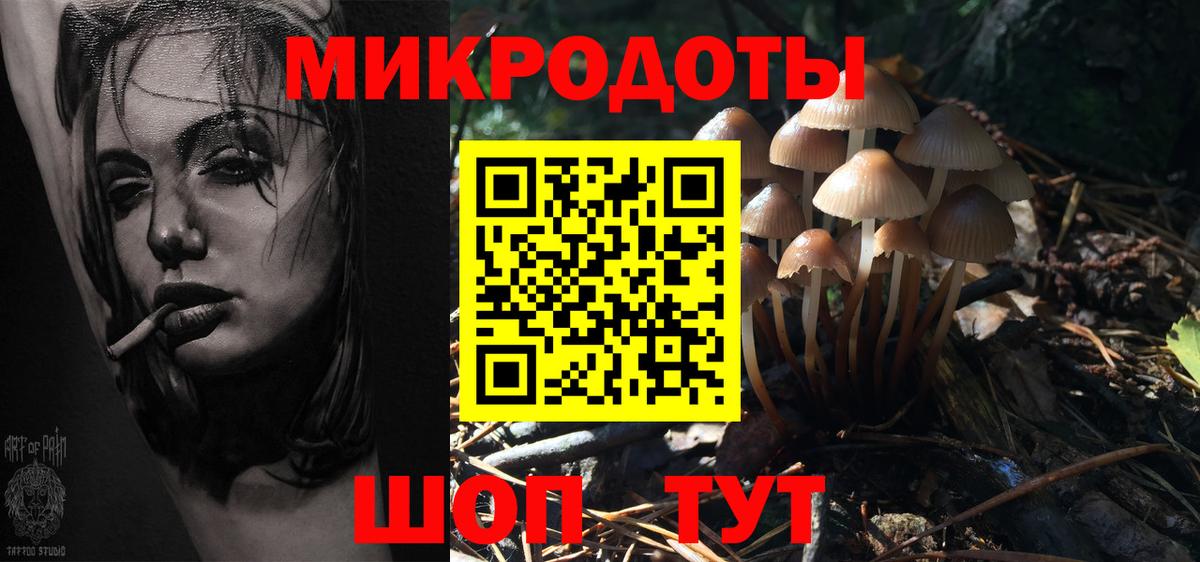 Псилоцибиновые грибы прущие грибы Карпинск